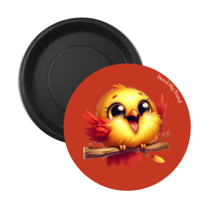 Round Fridge Magnets